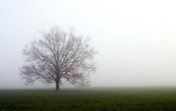 情景分析|大霧天氣到底會(huì)不會(huì)影響安全滑觸線的正常使用~~~